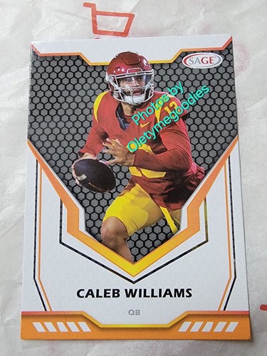 2024 sage caleb williams n - sage,
